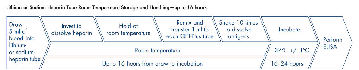 QuantiFERON, QFT, workflow, illustration, QFT-Plus