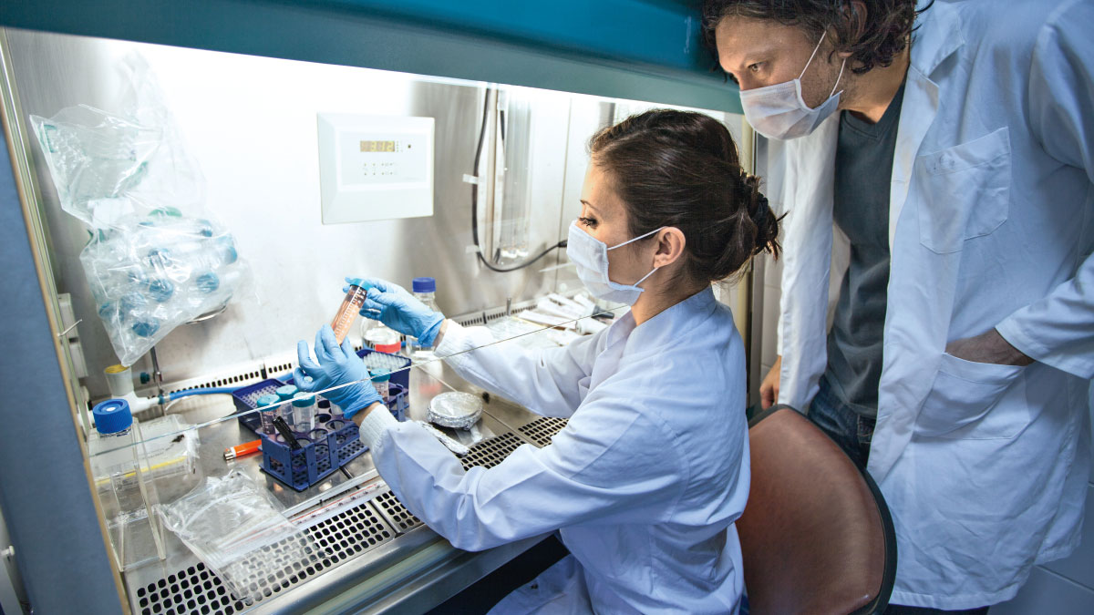 Supporting the fight against coronavirus