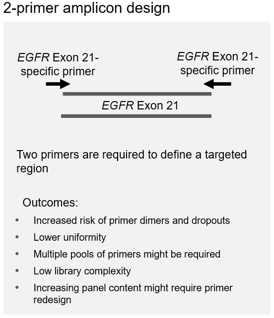 2-primer-amplicon-design