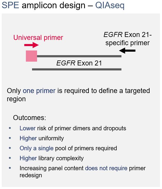 2-primer-amplicon-design