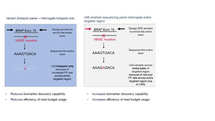 Amplicon sequencing panel figure 1