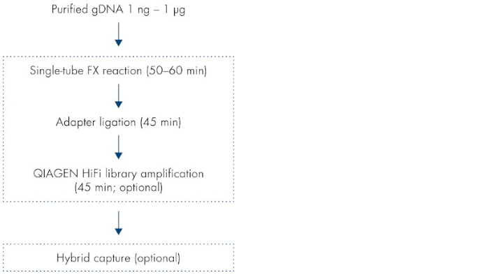 Streamlined three-step workflow