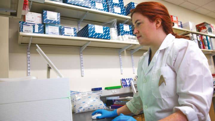 Scientist checking data on the monitor