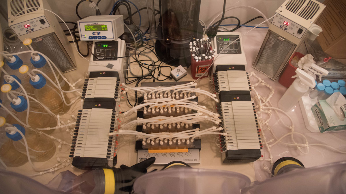 MiniBioReactor Array