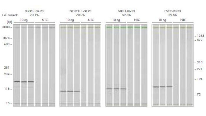 Templates with GC contents from 70% to 30% were reliably amplified using the same standard protocol and buffer conditions
