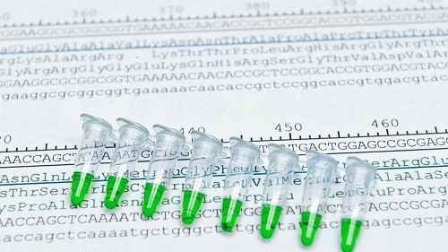 New advances in microbial community profiling: A future without bias