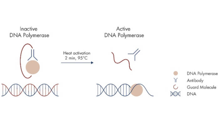 PCR covered with confidence chart