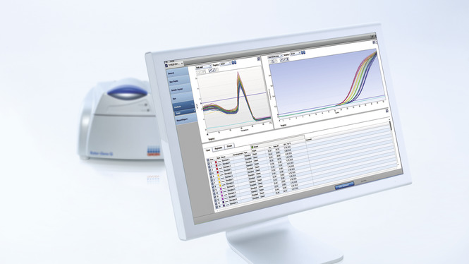 Q-Rex – the king of convenience