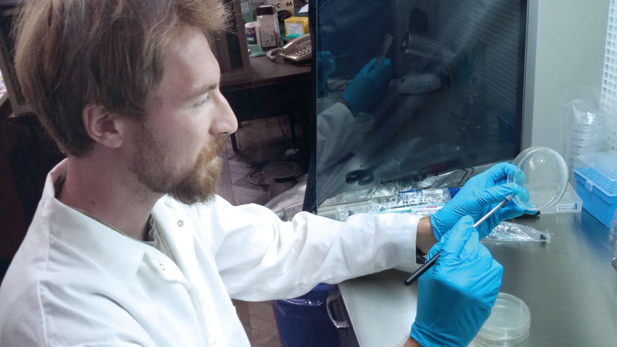 Matan Shelomi laboratory