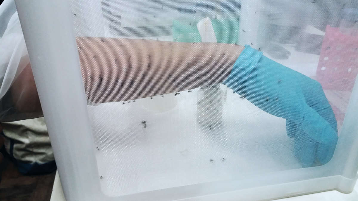 scientific expertise