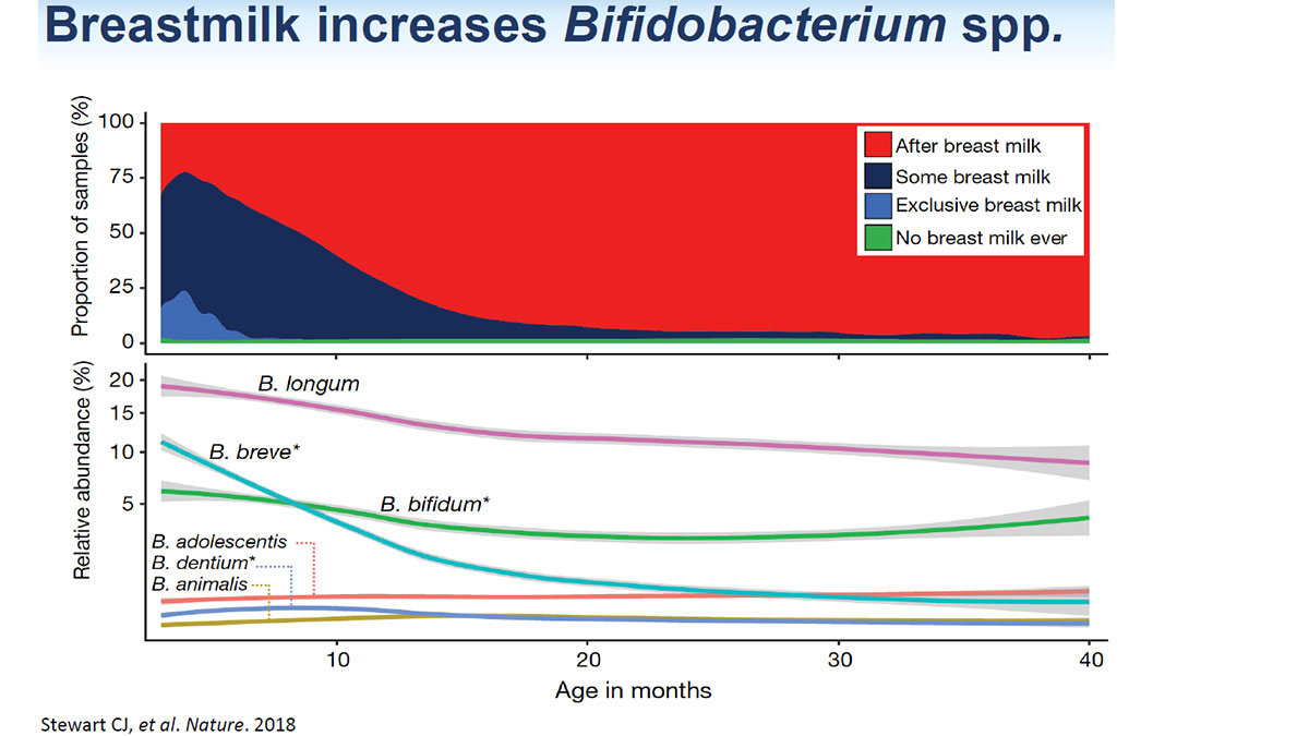 breastmilk increases