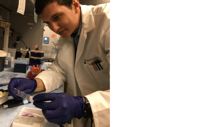 Wadie D. Mahauad-Fernandez