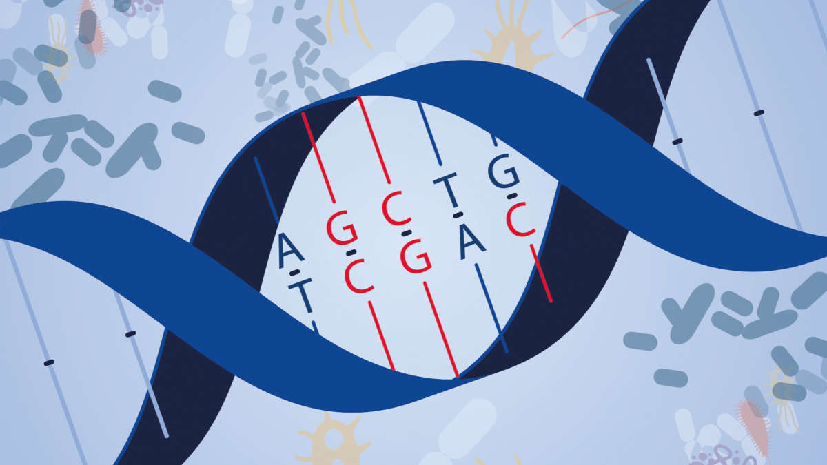 Microbiome and GC content, microbiome, gc content, ungs, ngs, Dylan Barbera, webinar