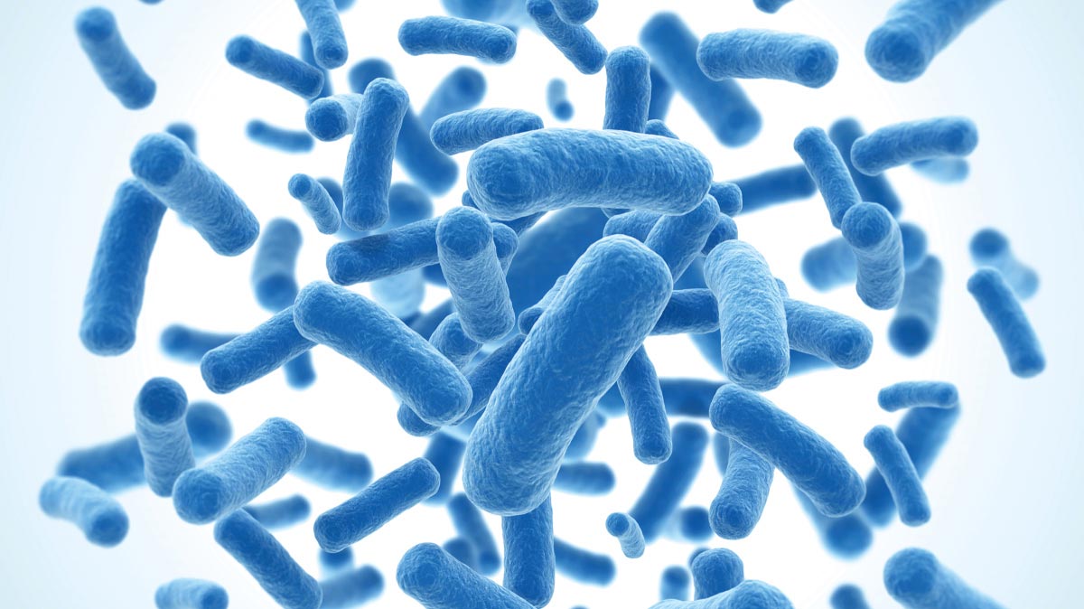 Microbial gDNA isolation