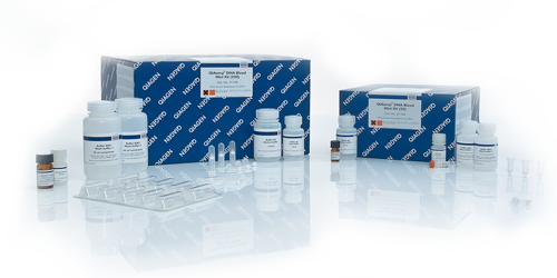 QIAamp DNA Blood Mini Kit