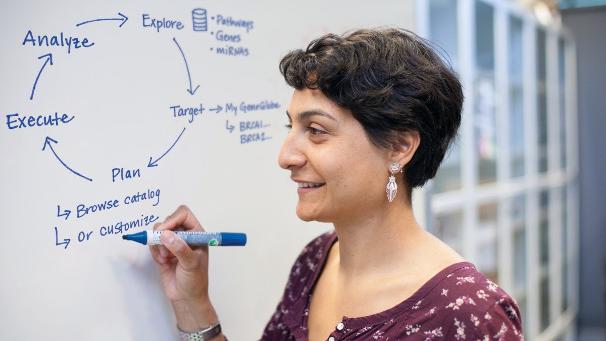 Scientist outlining GeneGlobe principle and functionality