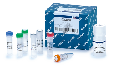 QIAprep CRISPR Kit