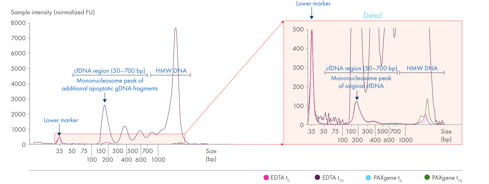 cfDNA qualification by electrophoresis