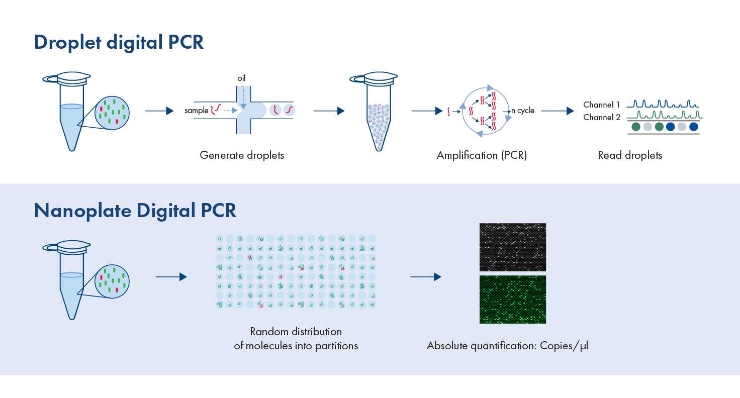 The image shows a droplet digital PCR workflow (top) and a nanoplate digital PCR workflow (bottom). Traditional ddPCR involves sample preparation, droplet generation, PCR amplification, droplet reading and data analysis. Nanoplate ddPCR simplifies the process with sample preparation, direct nanoplate loading, PCR amplification, plate reading and data analysis.