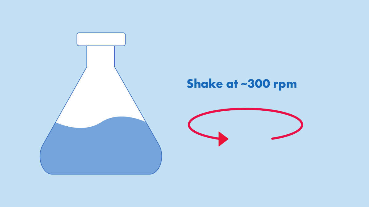 Bacterial culture flask