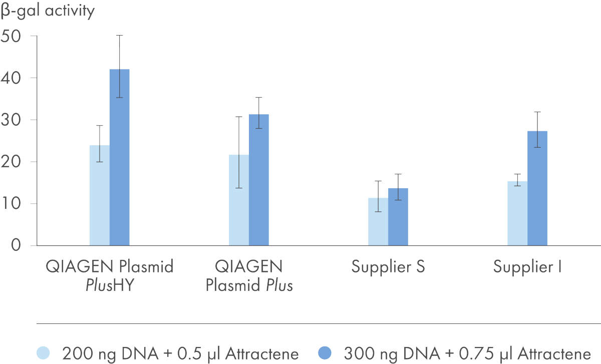 Successful transfection into sensitive cell lines
