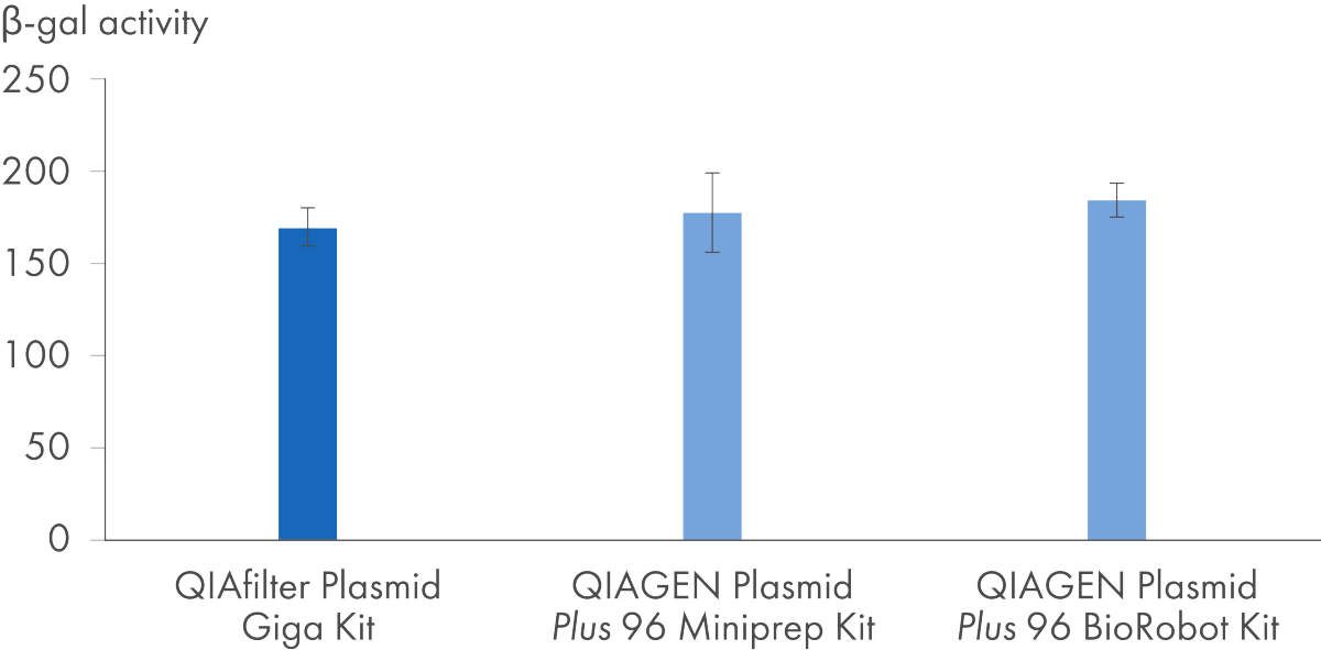 Highly efficient transfection into a sensitive cell line