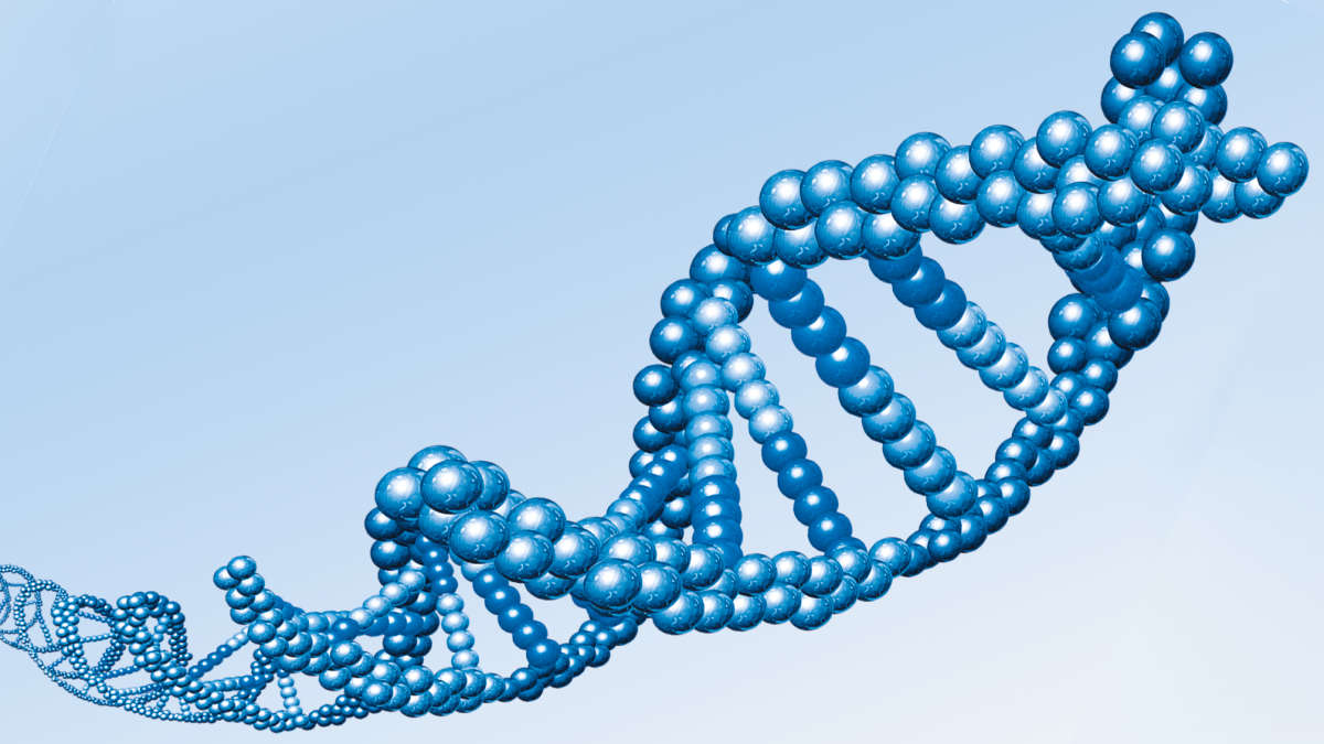  DNA Helix dobble strang