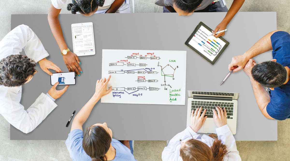 QuantiNova LNA Probe