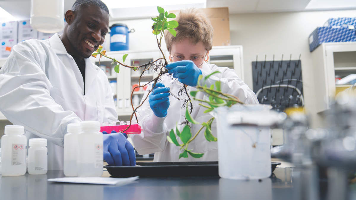 Francisco Dini-Andreote, plant phytobiomes