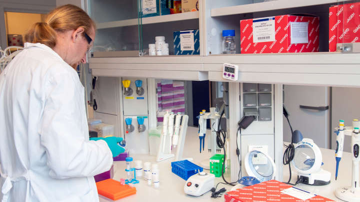 arctic, microbiom, hero story, Stefen Thiele